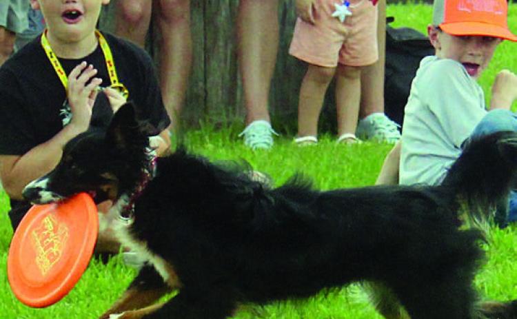 ‘Disc dogs’ delight at Public Library