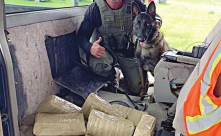 Sgt. Randy Thumann and his K-9 partner Kolt with eight bundles of marijuana located during a traffic stop on a 2000 Chevrolet Z-71 on Interstate 10 near Flatonia.